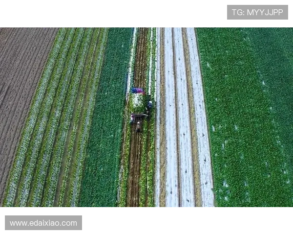 辽宁新双核合力掌控攻防